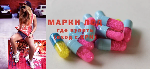 ПСИЛОЦИБИНОВЫЕ ГРИБЫ Козловка