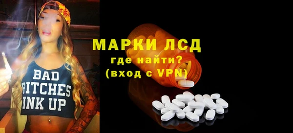 ПСИЛОЦИБИНОВЫЕ ГРИБЫ Козловка