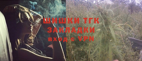 ПСИЛОЦИБИНОВЫЕ ГРИБЫ Козловка