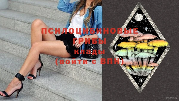 сатива Киреевск