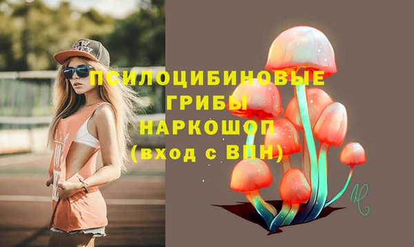 сатива Киреевск