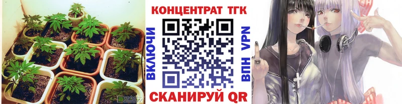 ТГК концентрат  купить   Малгобек 