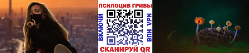 Псилоцибиновые грибы Magic Shrooms  Малгобек 